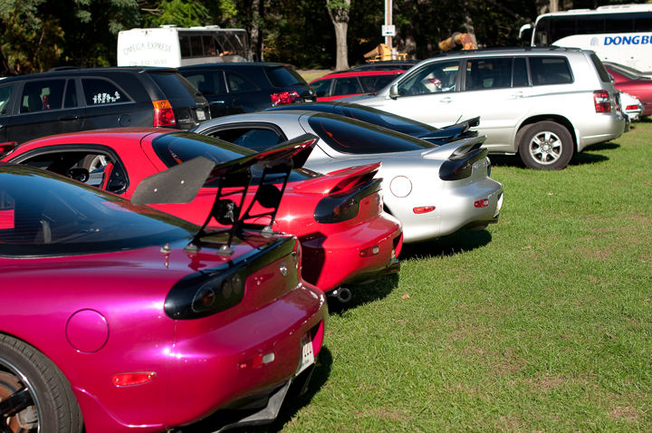 Name:  DSC_0137.jpg
Views: 18
Size:  417.9 KB