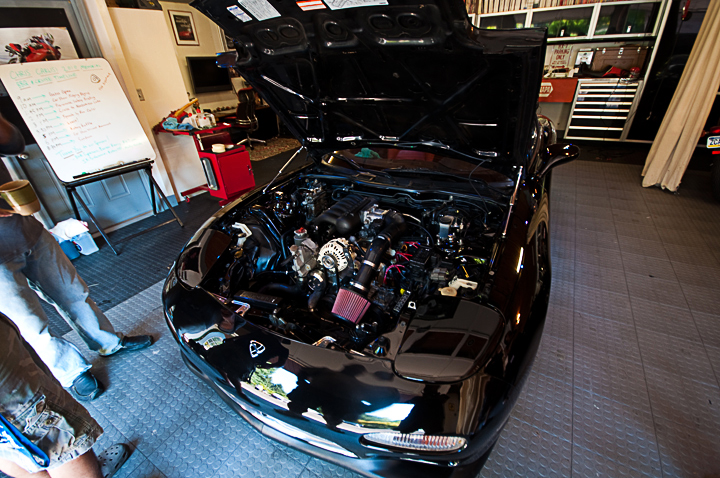 Name:  DSC_0047.jpg
Views: 28
Size:  389.5 KB