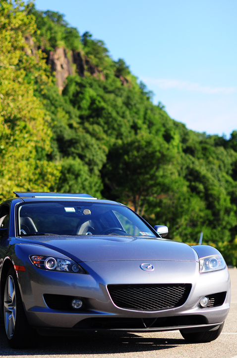 Name: DSC_0725copy.jpg
Views: 40
Size: 343.8 KB