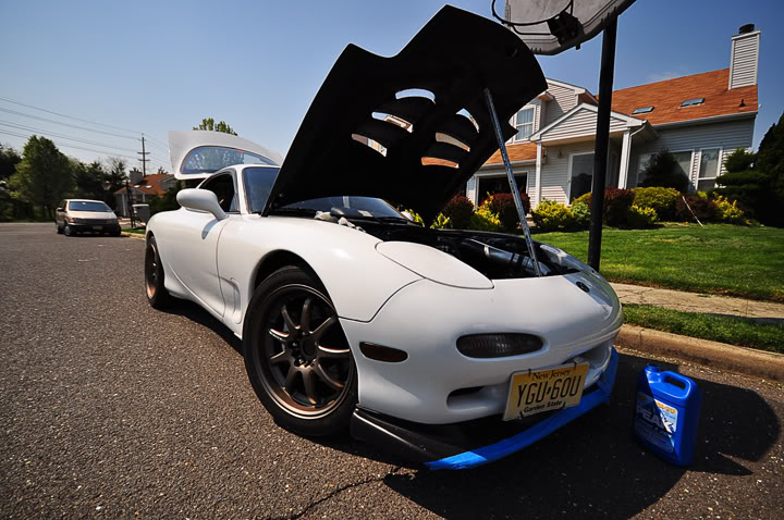 Name: DSC_0230.jpg
Views: 41
Size: 99.6 KB