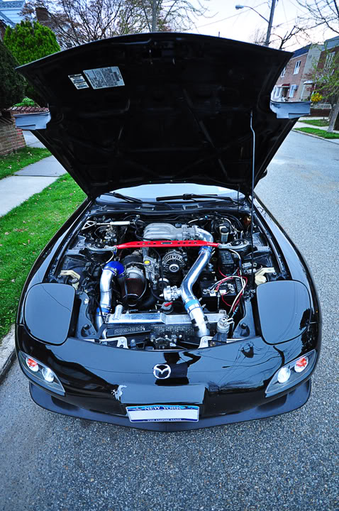 Name: DSC_0441copy.jpg
Views: 30
Size: 130.6 KB