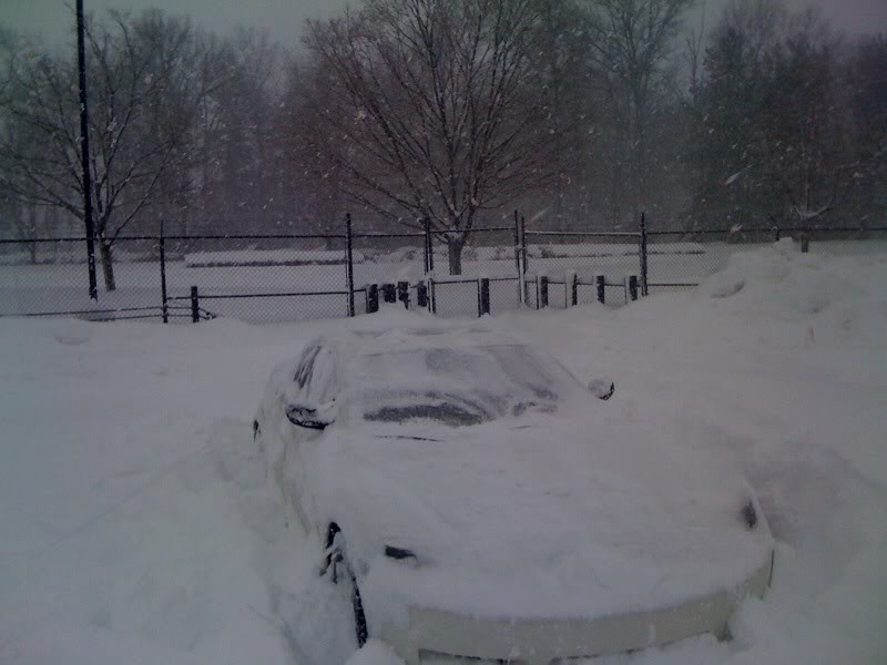 Name:  1265480844.jpg
Views: 27
Size:  58.2 KB