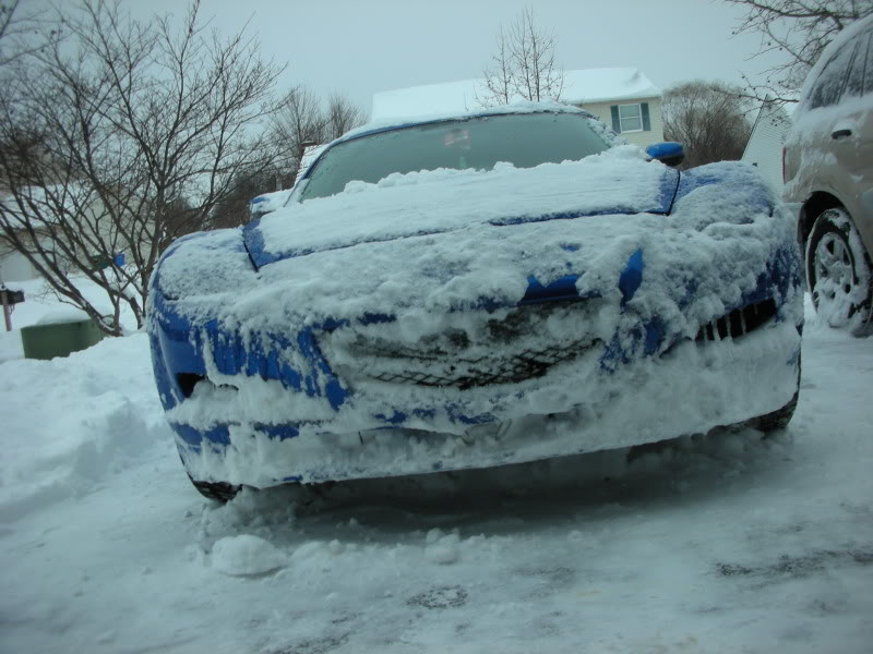 Name: DSCN1817.jpg
Views: 34
Size: 118.9 KB