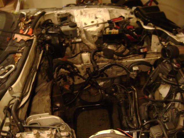 Name:  DSC04383.jpg
Views: 32
Size:  79.5 KB