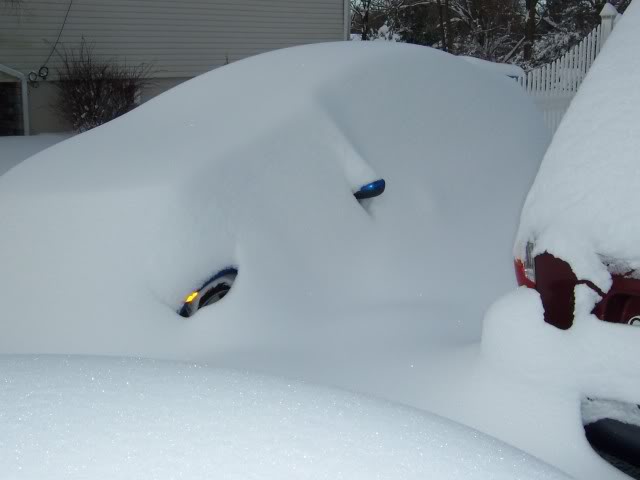 Name: blizzard121909004.jpg
Views: 45
Size: 25.7 KB