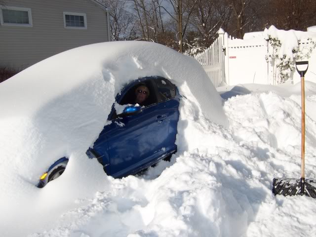 Name:  blizzard121909011.jpg
Views: 49
Size:  52.0 KB
