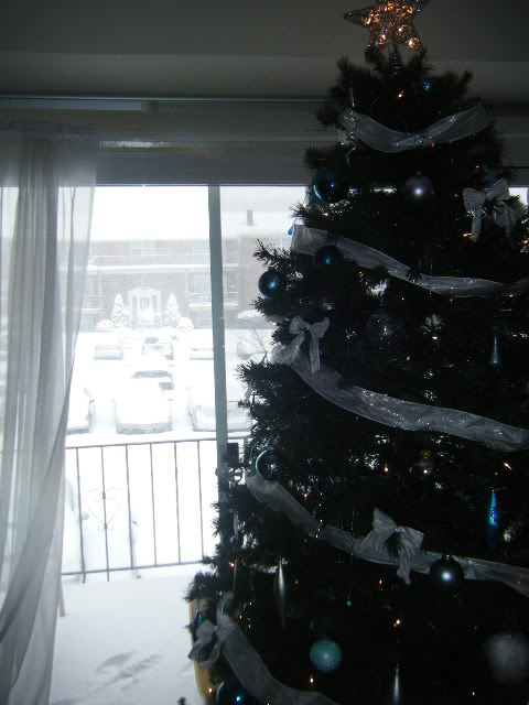 Name:  DSCF1404.jpg
Views: 35
Size:  47.6 KB