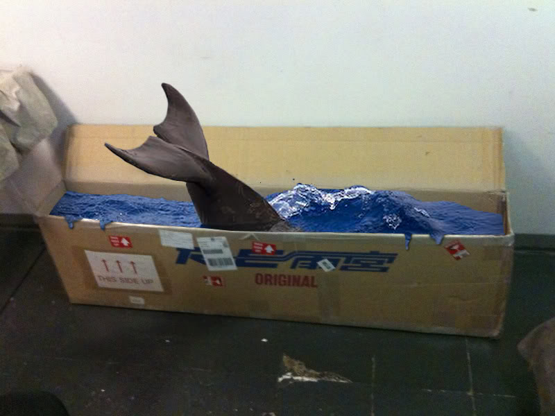 Name:  dolphin_Tail.jpg
Views: 37
Size:  60.3 KB