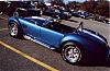 Monster Mash on Long Island Oct. 31st Meet-cobra103104.jpg