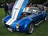 The 2006 Northeast Sport and Exotic Car Show-cobra1.jpg