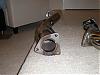 Starting Complete NA build-intake-exhauste-headers-midpip-0021.jpg