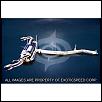 Exhaust Opinons-rx8-600x600.jpg