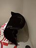 RX8 ST170 twinscrew project-14483723_995287620594294_1002826031_n.jpg