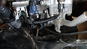 The I don't know what the fork I'm doing swap-pb260006.jpg