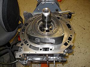 Renesis v2.0-021710-001.jpg