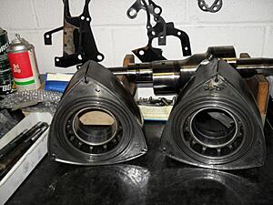 Renesis v2.0-021710-006.jpg