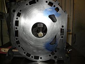 Renesis v2.0-021710-007.jpg