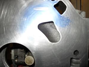 Renesis v2.0-021710-008.jpg