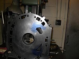 Renesis v2.0-021710-011.jpg