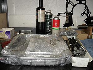 Renesis v2.0-021910-002.jpg
