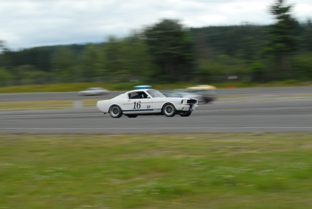 Name:  DSC_0031.jpg
Views: 49
Size:  57.5 KB