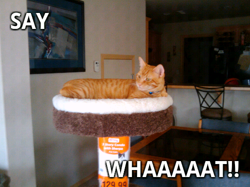 Name:  Saywhat.png
Views: 46
Size:  195.2 KB