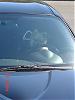 Interest in proposed WA/OR meet &amp; Mt. St. Helens Drive-sa-pictures-017_small.jpg