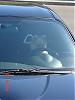 Interest in proposed WA/OR meet &amp; Mt. St. Helens Drive-sa-pictures-018_small.jpg