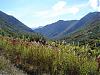 Alaska-devils-pass-4-.jpg