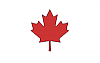 Custom Decals For Everyone, Get Your Forum Name On Your Car + Anything Else You Want!-flag.gif