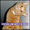 Some One Tell Me-244.jpg