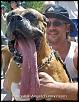 How did you derive your username?-big%2520tongue.jpg