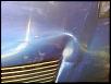 sooo....i get hit and ran 2 times w/pics-26748_1337150081109_1601820012_805096_4577762_n.jpg