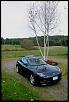 The 200000-Mile Club-underatree.jpg
