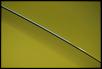 New here-dsc_0524.jpg