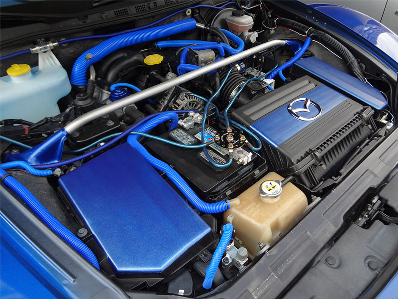 Name: EngineBay-Blue3-800_zps4af91c1b.jpg
Views: 565
Size: 182.7 KB