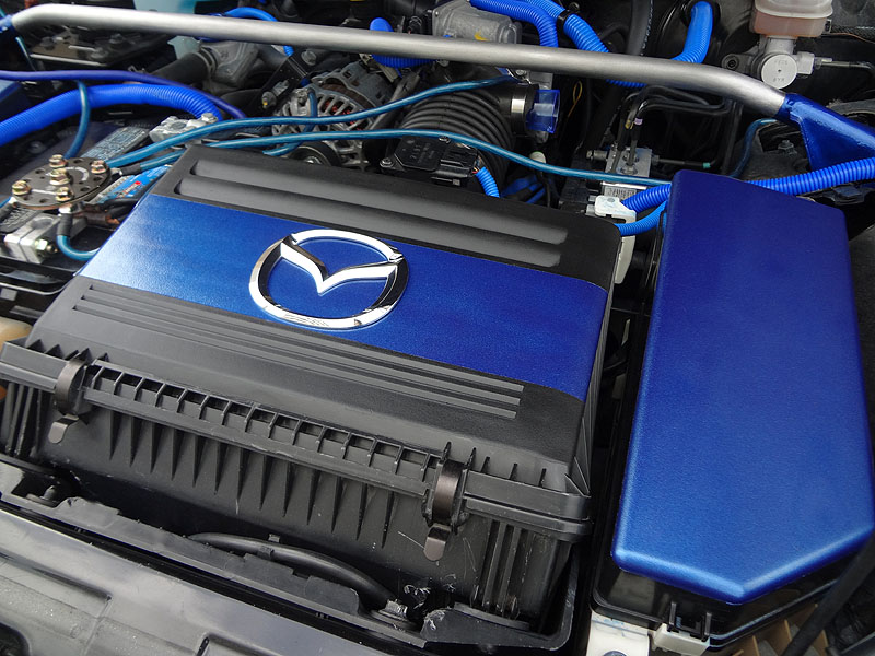 Name: EngineBay-Blue2-800_zps49a0277e.jpg
Views: 434
Size: 159.8 KB