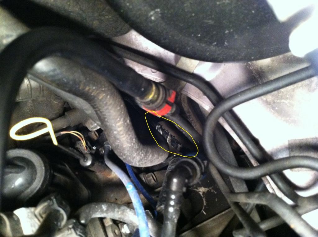 Name: underhood1_zps66215093.jpg
Views: 85
Size: 95.6 KB