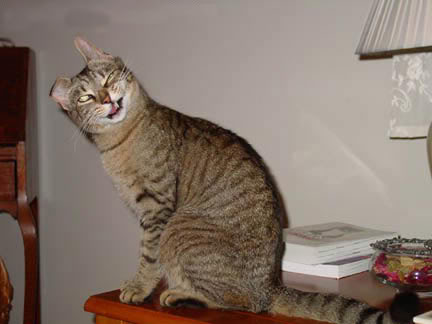 Name:  WTF.jpg
Views: 252
Size:  20.5 KB