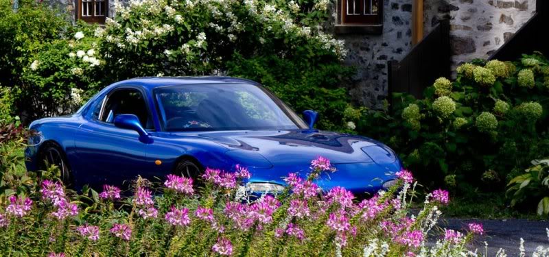 Name: 286989_10150379373012329_742667328_10104008_1571505093_o.jpg
Views: 94
Size: 90.0 KB