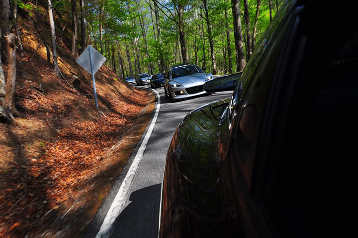 Name:  DSC_0054copy.jpg
Views: 92
Size:  97.1 KB