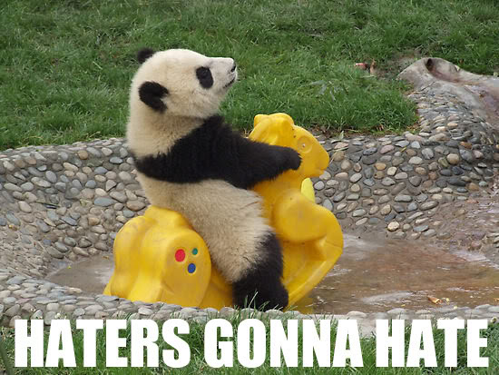 Name:  HatersGonnaHatePanda.jpg
Views: 35
Size:  70.9 KB
