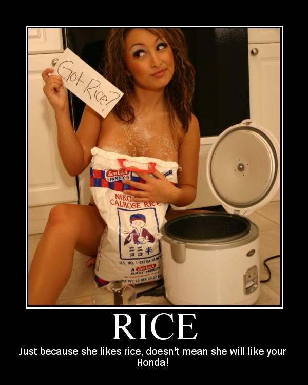 Name:  Rice011.jpg
Views: 21
Size:  56.1 KB