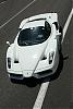 2005 info from MNAO-enzo-1.jpg