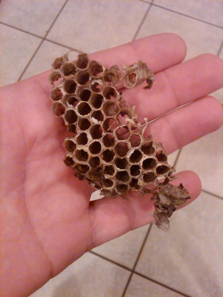 Name:  airboxnest.jpg
Views: 57
Size:  81.6 KB