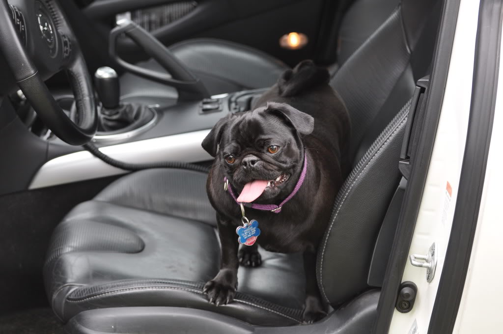 Name:  DSC_0006.jpg
Views: 67
Size:  114.1 KB