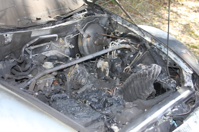 Name:  RX-8Pictures008.jpg
Views: 120
Size:  76.7 KB