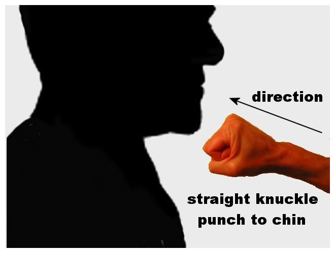 Name:  punch1a.jpg
Views: 38
Size:  22.8 KB
