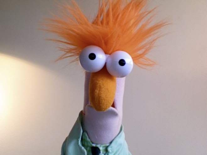 Name:  beaker.jpg
Views: 53
Size:  15.3 KB