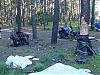TREE VS Rx8-1.jpg